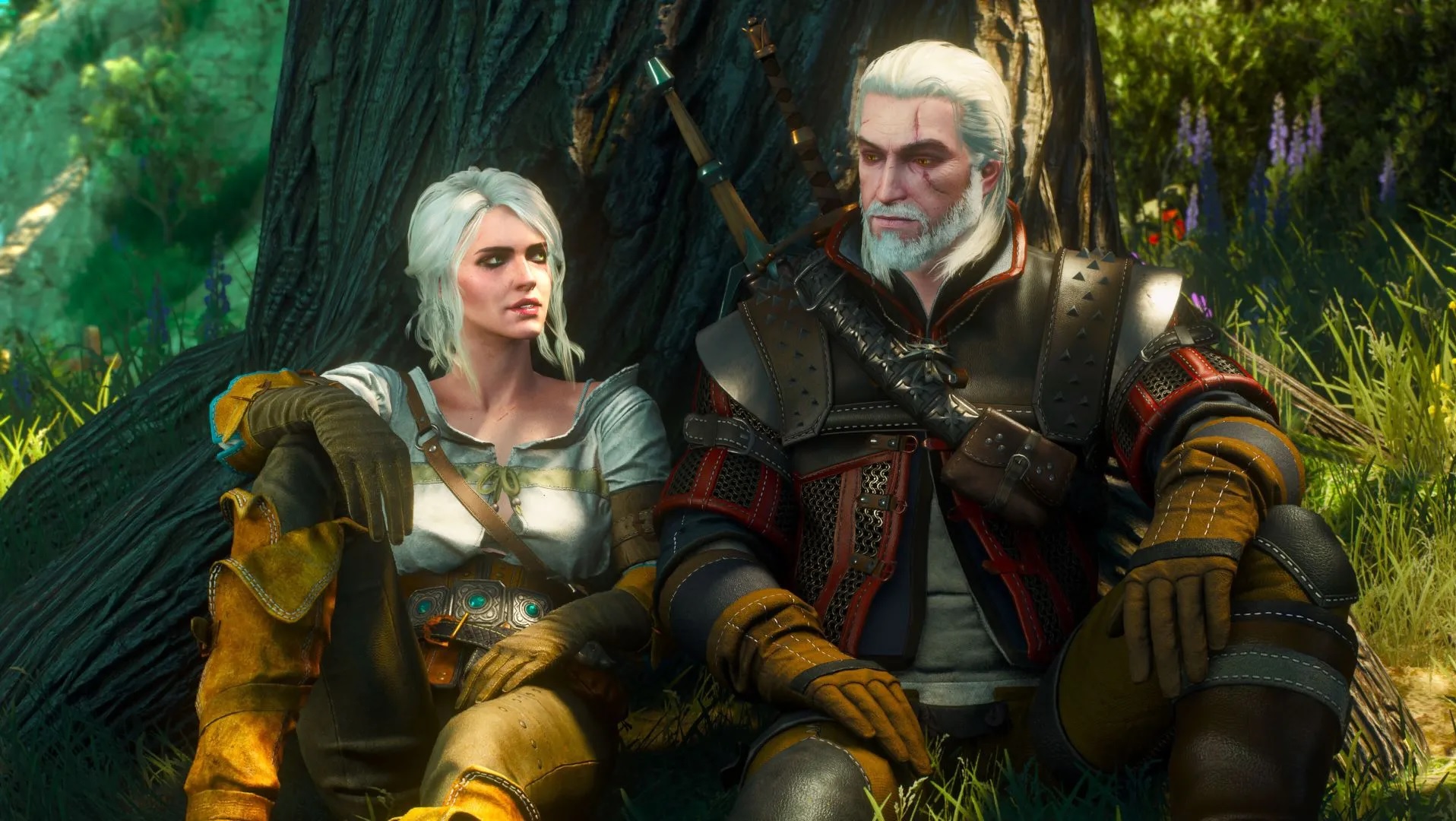 Next Gen Changes The Witcher Wild Hunt