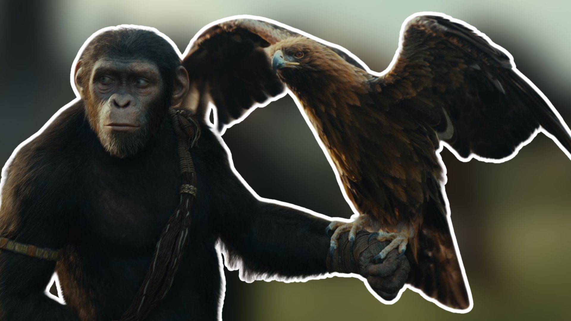 Apes Ascend As Humans Fall in the Latest Trailer for Kingdom of the Planet of the Apes