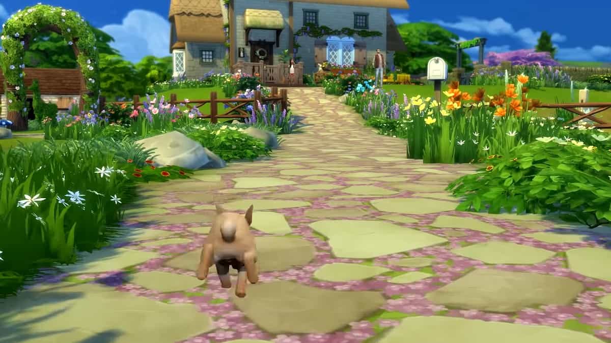 The Sims 4 Cottage Living Expansion Pack Adds Animals and Villages