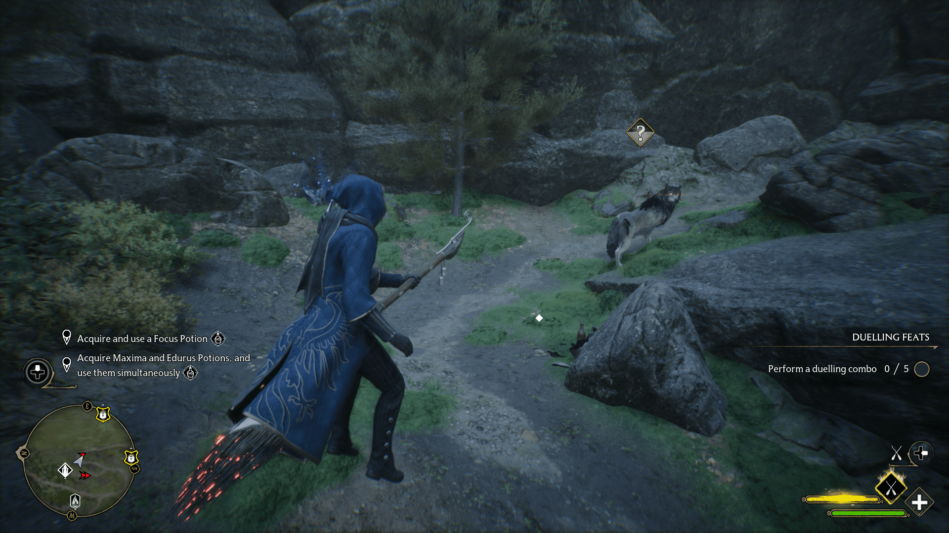 Focus Potion Guide Hl