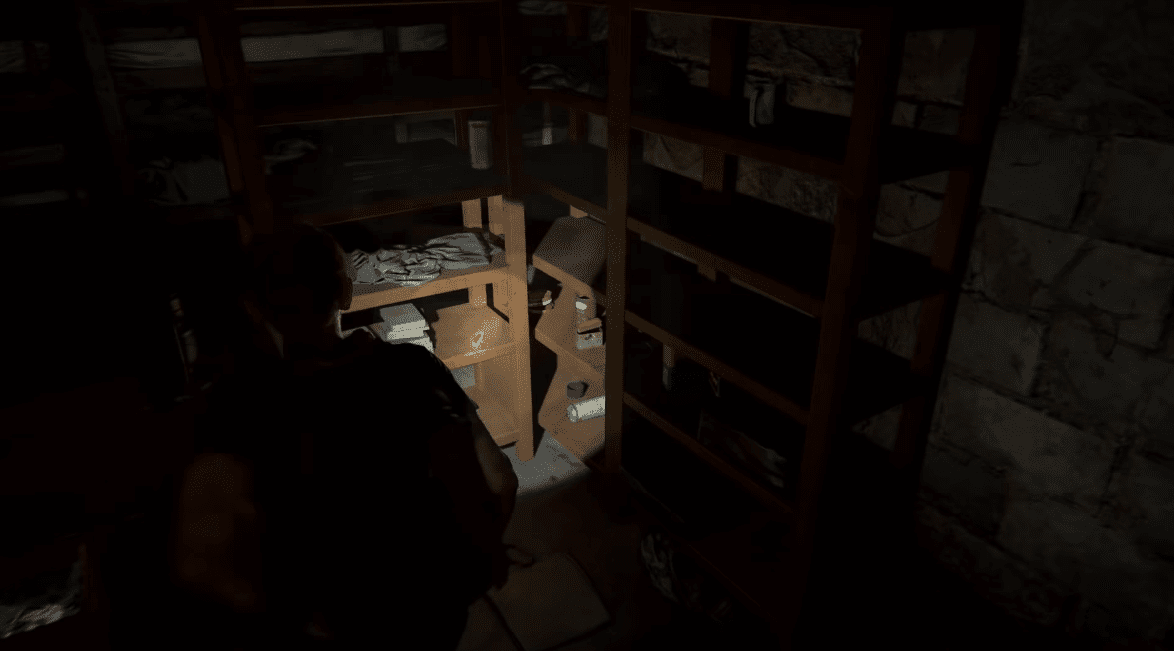 The Last Of Us 2 Chapter List