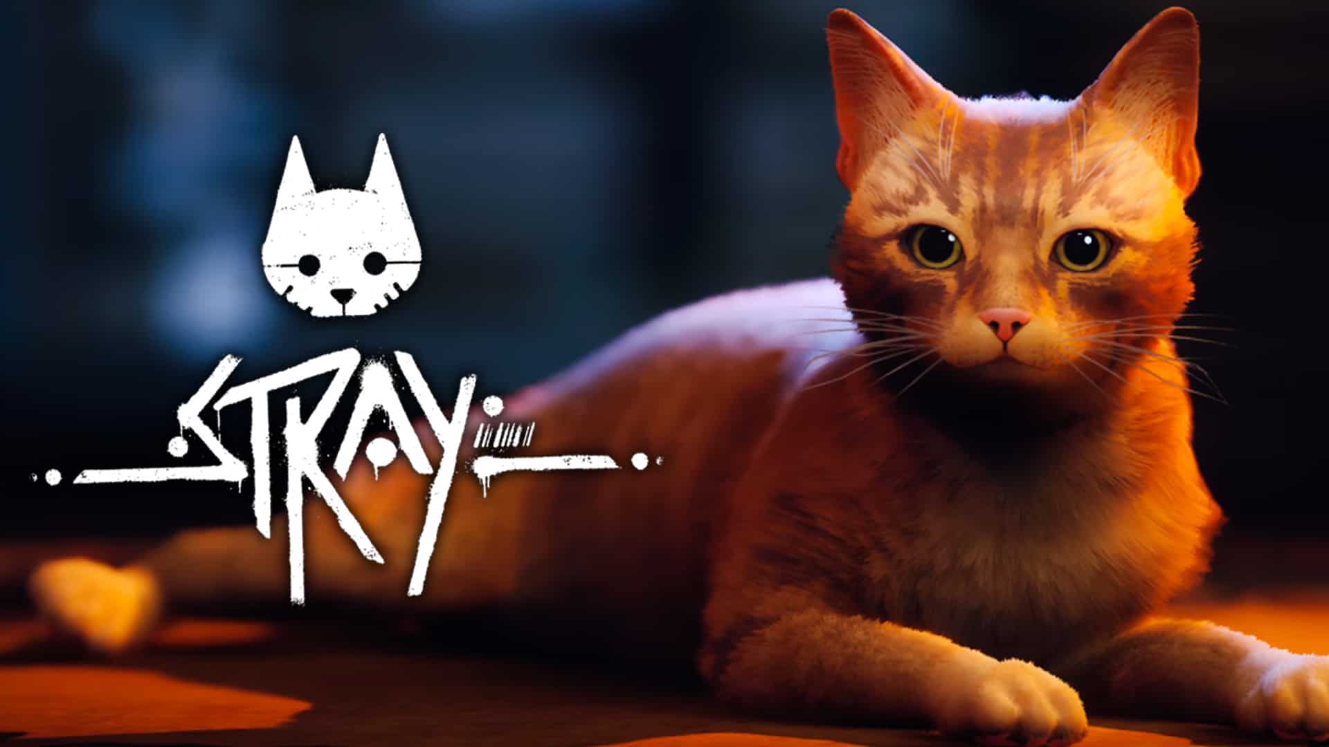 Stray is coming to Playstation 4 and 5 on June 19