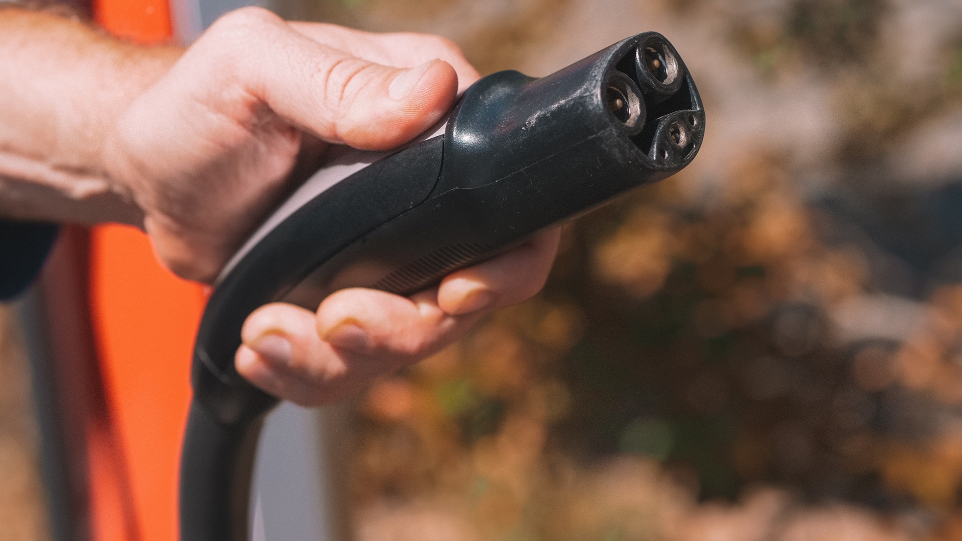 What does Elon Musk think about the WFH crowd?