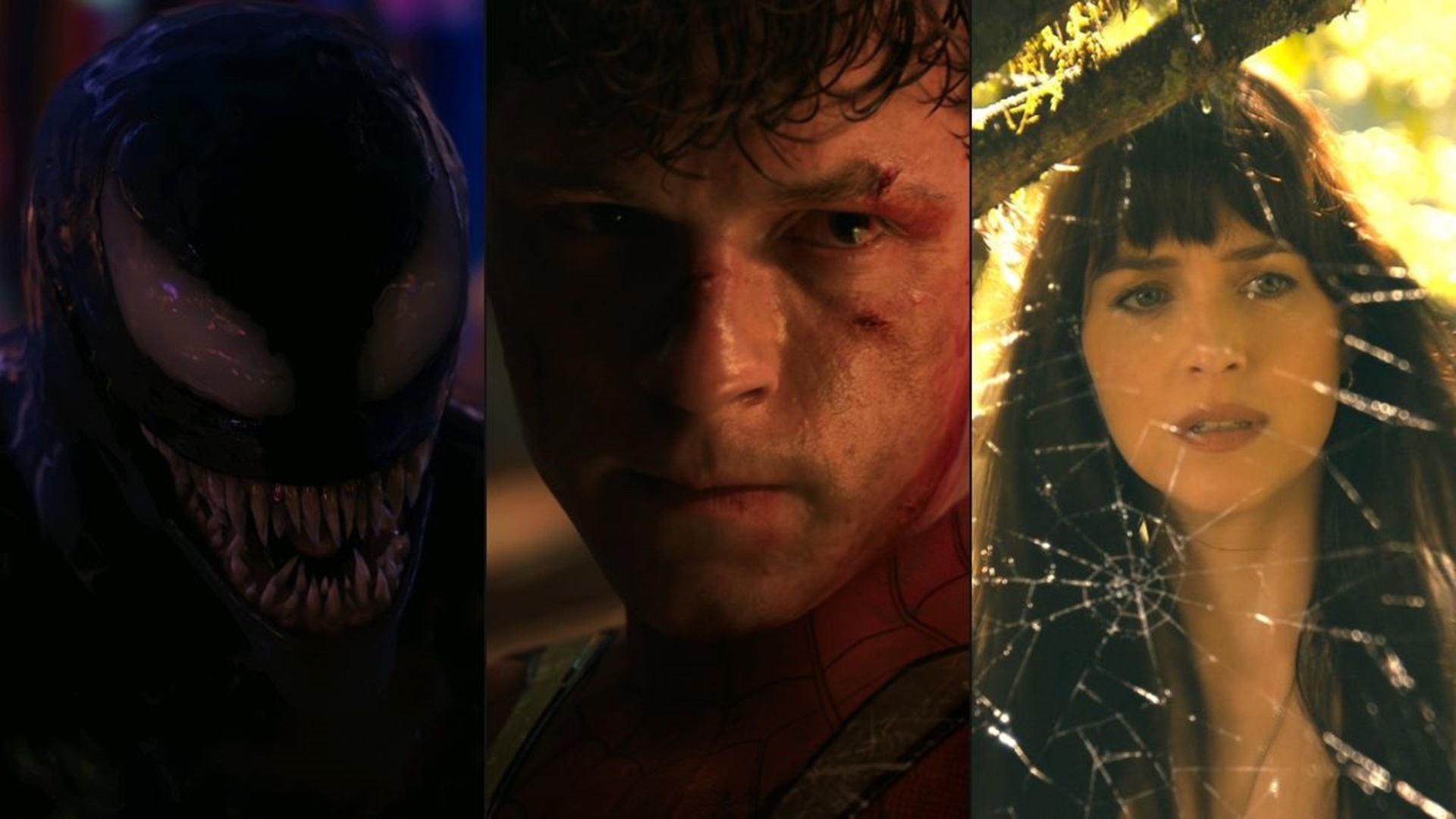 Tom Holland might bridge two Marvel universes soon in Spider-Man 4