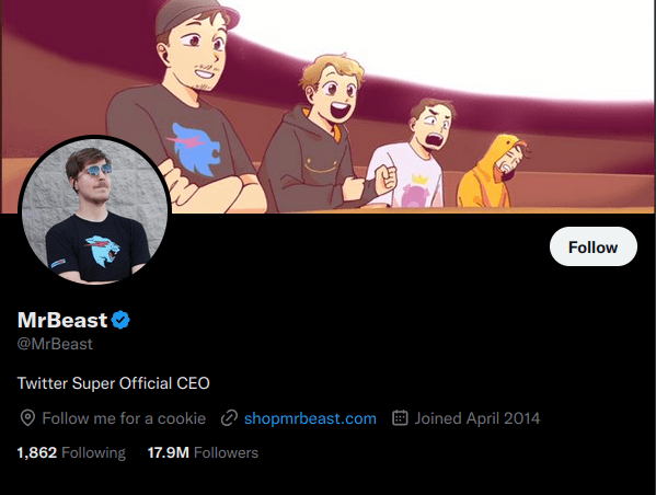 mrbeast bio