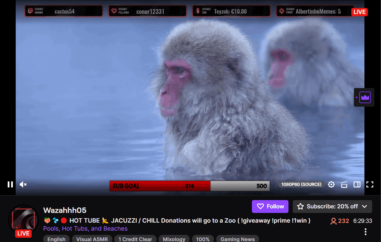 Twitch Launches Hot Tub Category; Gets Monkeys And Geralt Instead Of Softcore