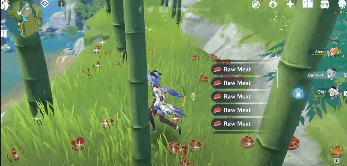 How To Do The Raw Meat Glitch In Genshin Impact