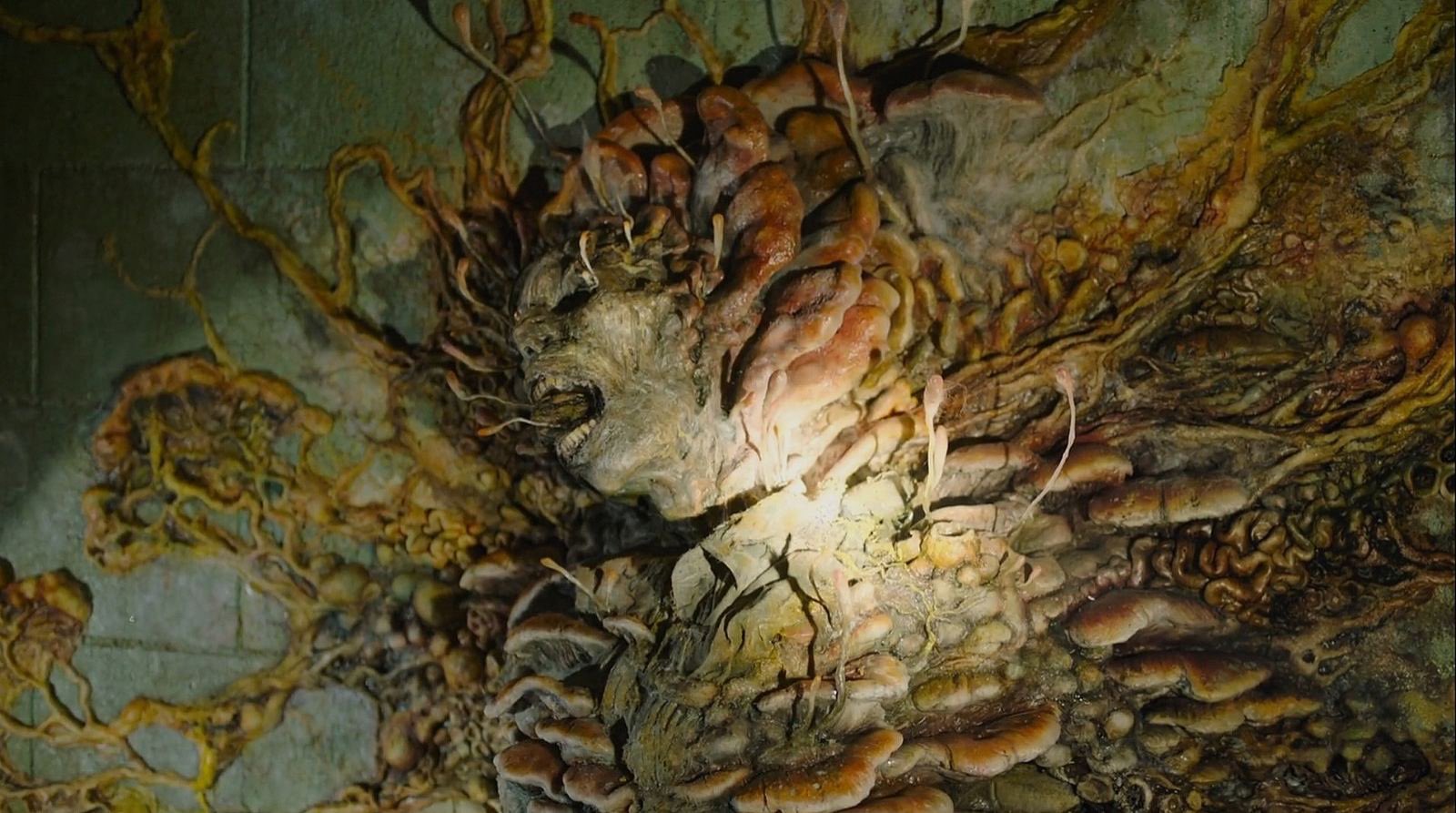 Given the show's success, we hope that Season 2 will take its time with the narrative.