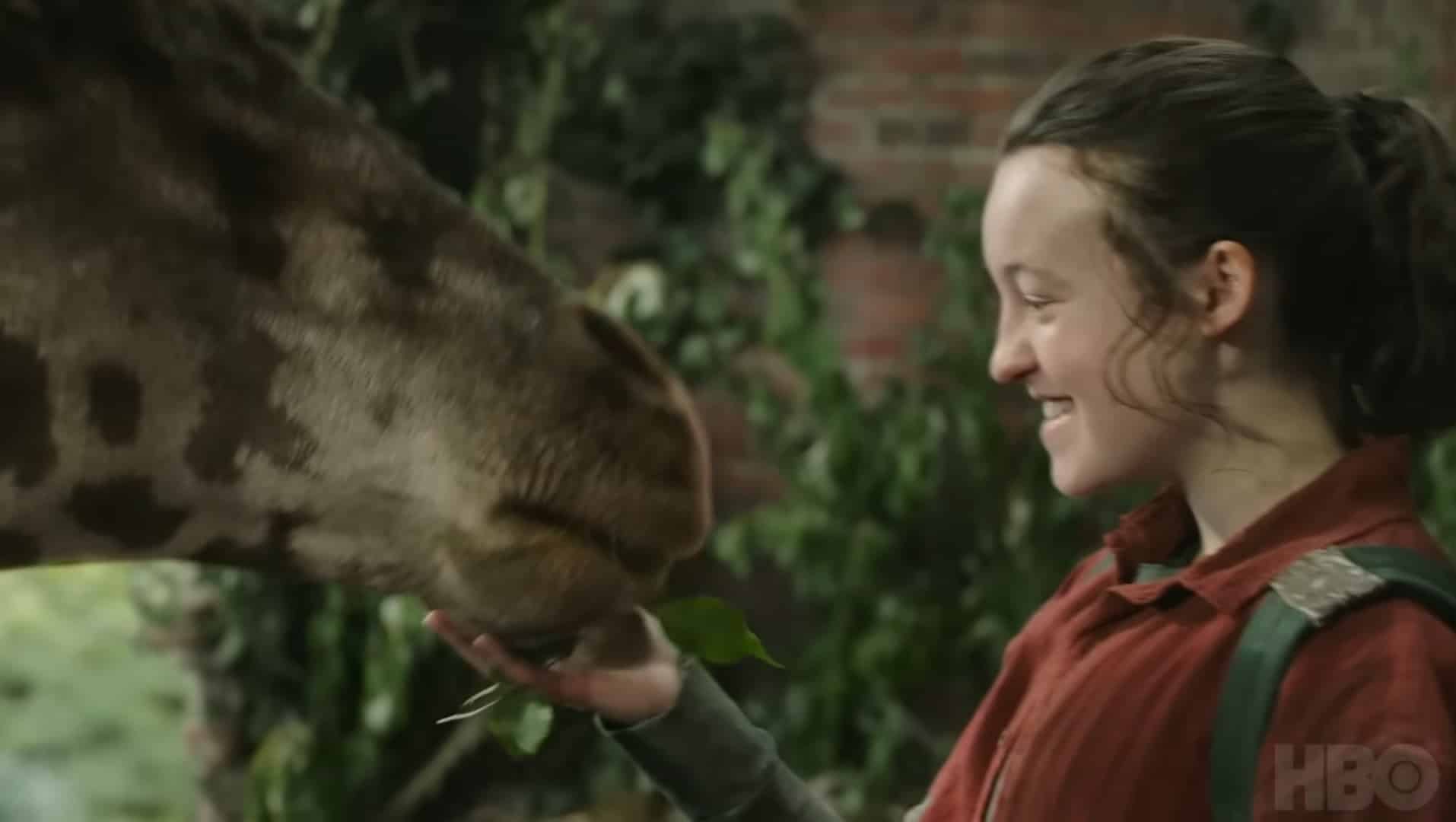 hbo-real-life-giraffe-the-last-of-us-finale-3-800x451.jpg