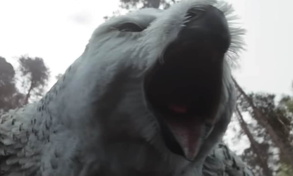 Dungeons & Dragons Trailer Is Full Of Rpg Goodness