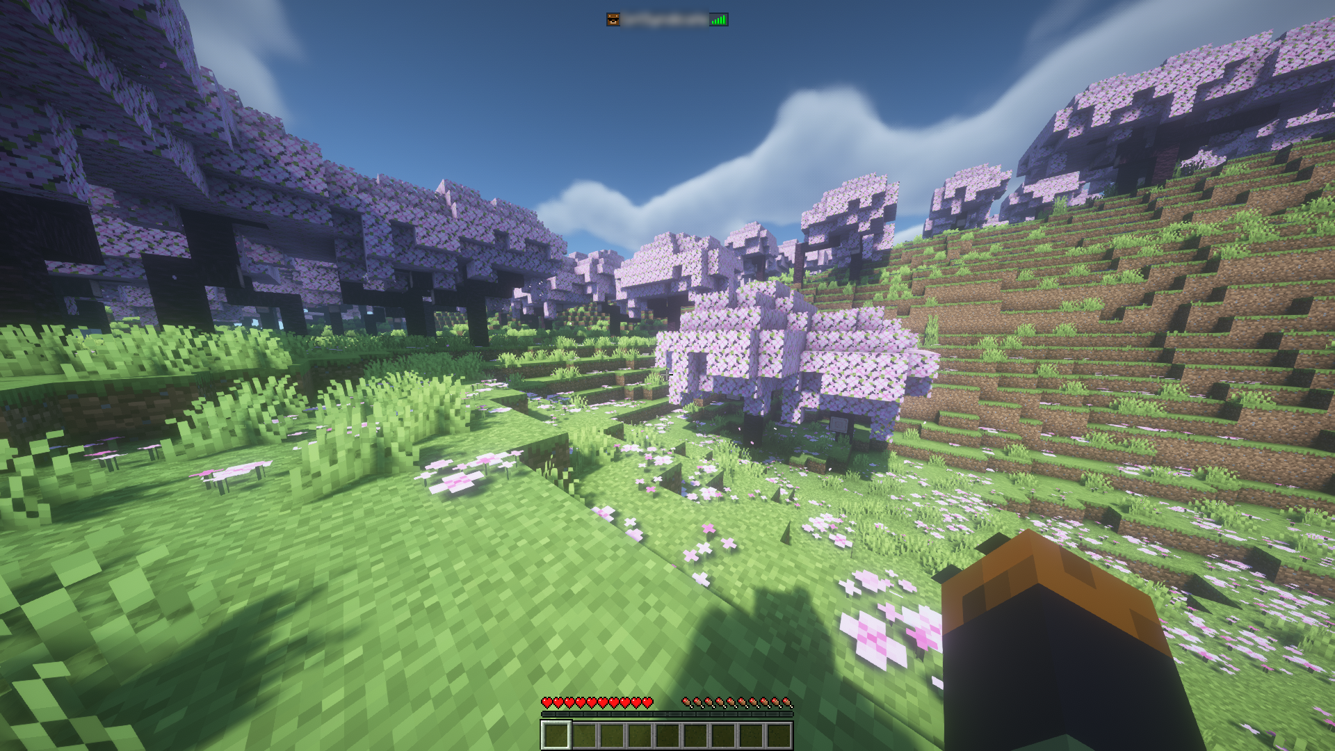 Minecraft-Server-Logged-In-800x450.png
