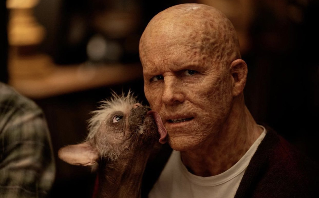 is expected to have several major superhero cameos, including Jennifer Garner's Elektra.