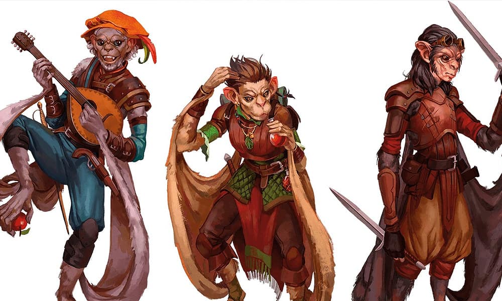 Dungeons-and-dragons-racism-remove-half-elf-half-orc-wotc-hasbro-HADOZEE