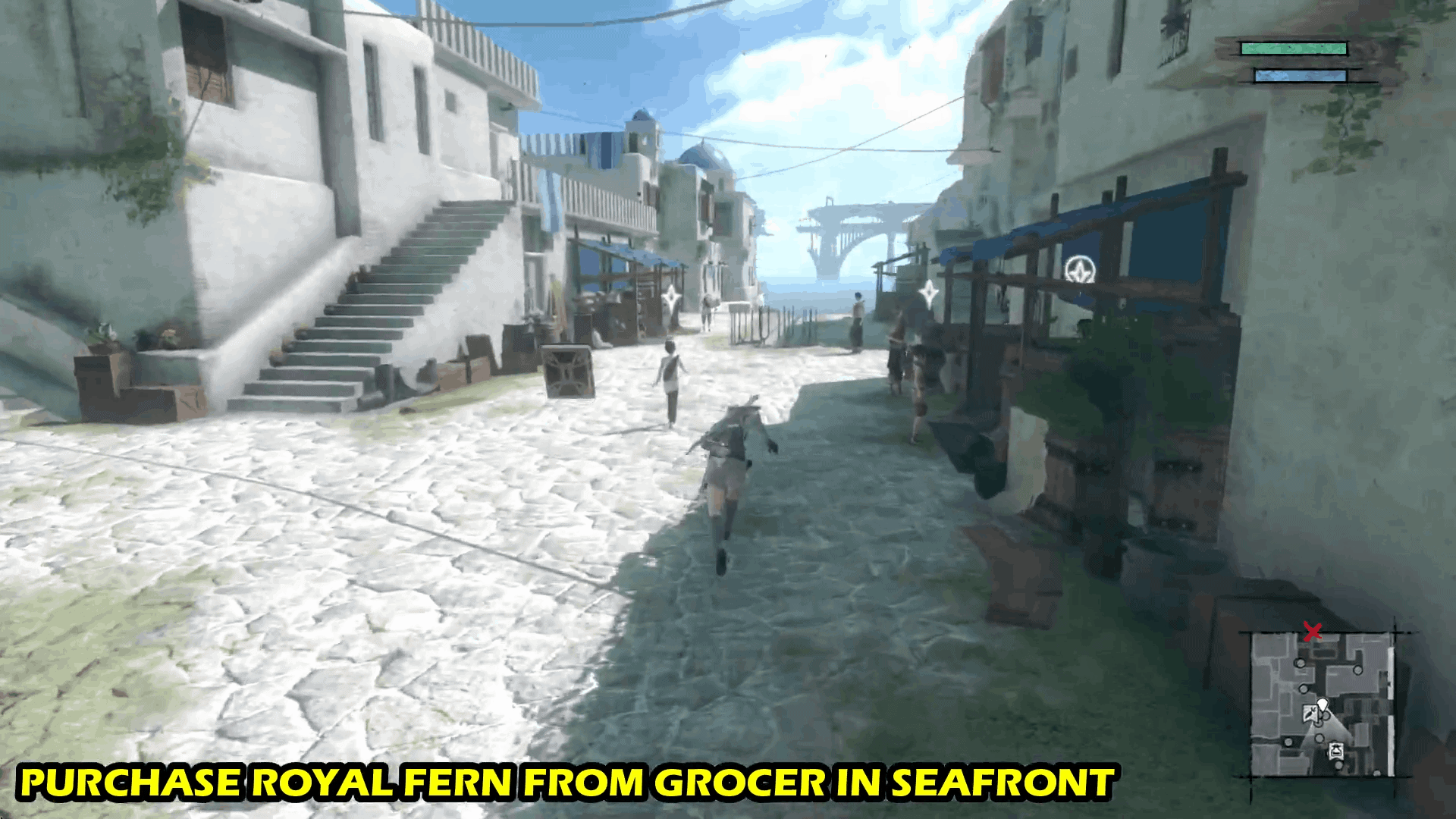 The Tavern Keeper's Grandmother: How To Find Berries And Royal Fern In Nier Replicant Ver1.22