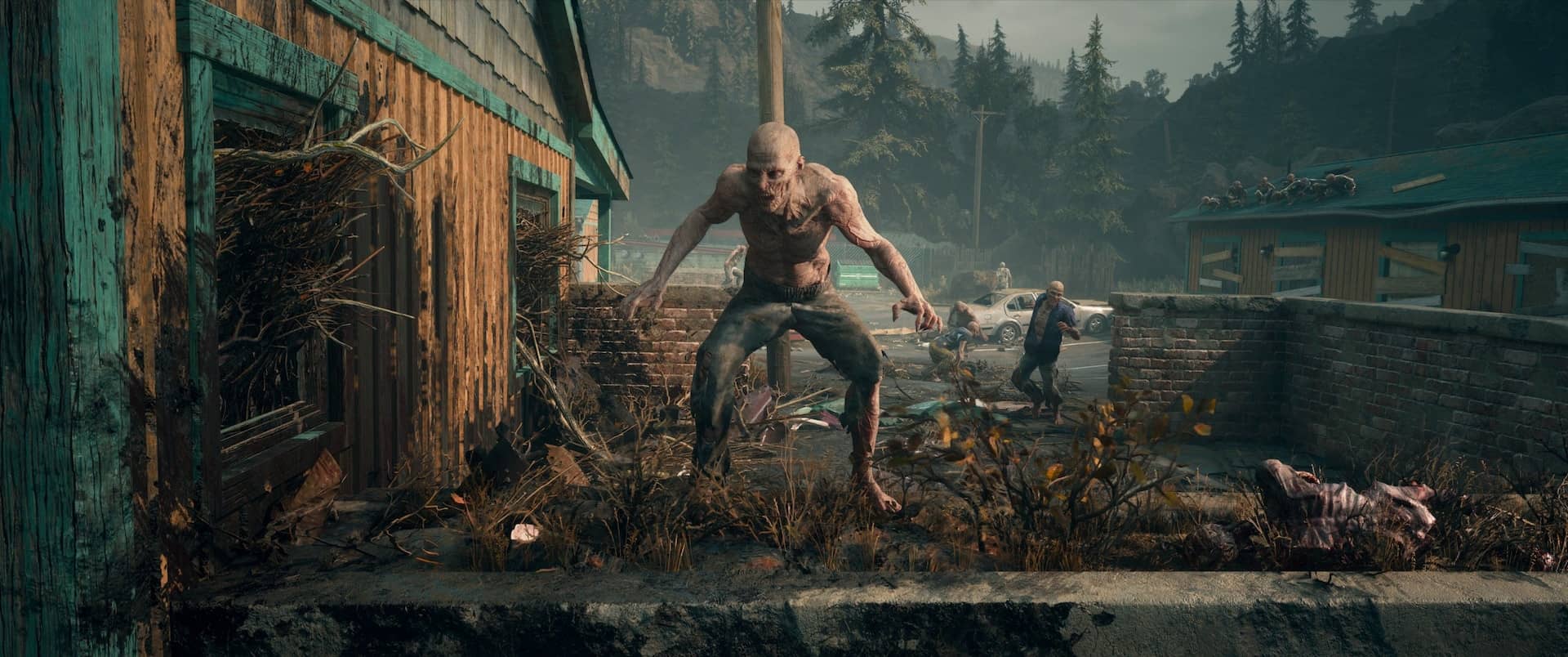 Former Director Reveals More Details About The Rejected Days Gone Sequel