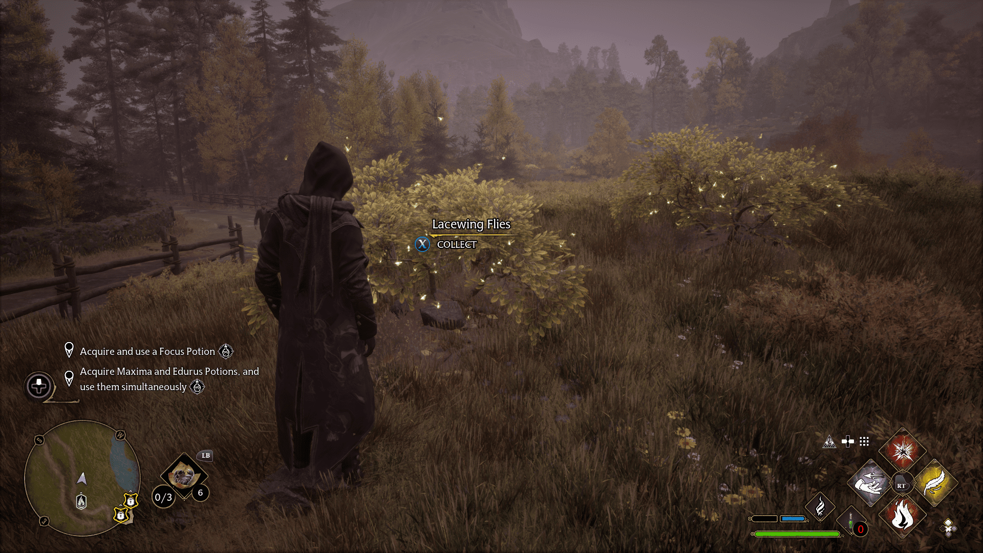 Focus Potion Guide Hl