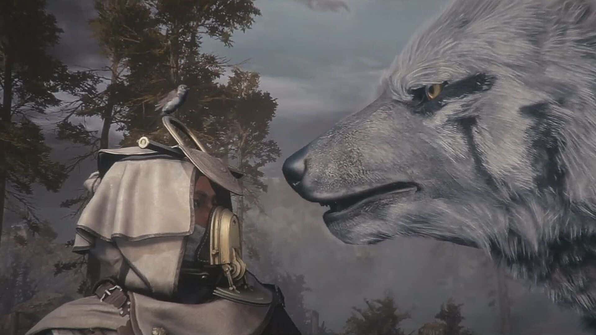 Digital Extremes is working on Soulframe after Warframe