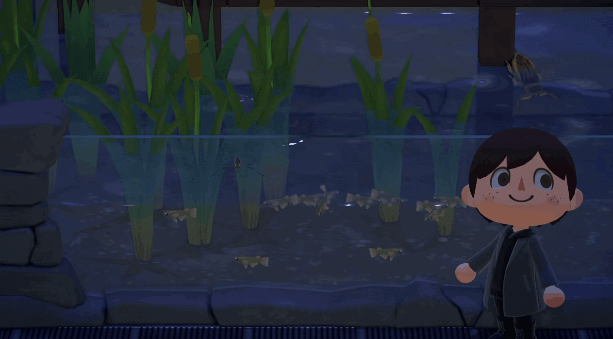 Animal Crossing: New Horizons New Animals For March