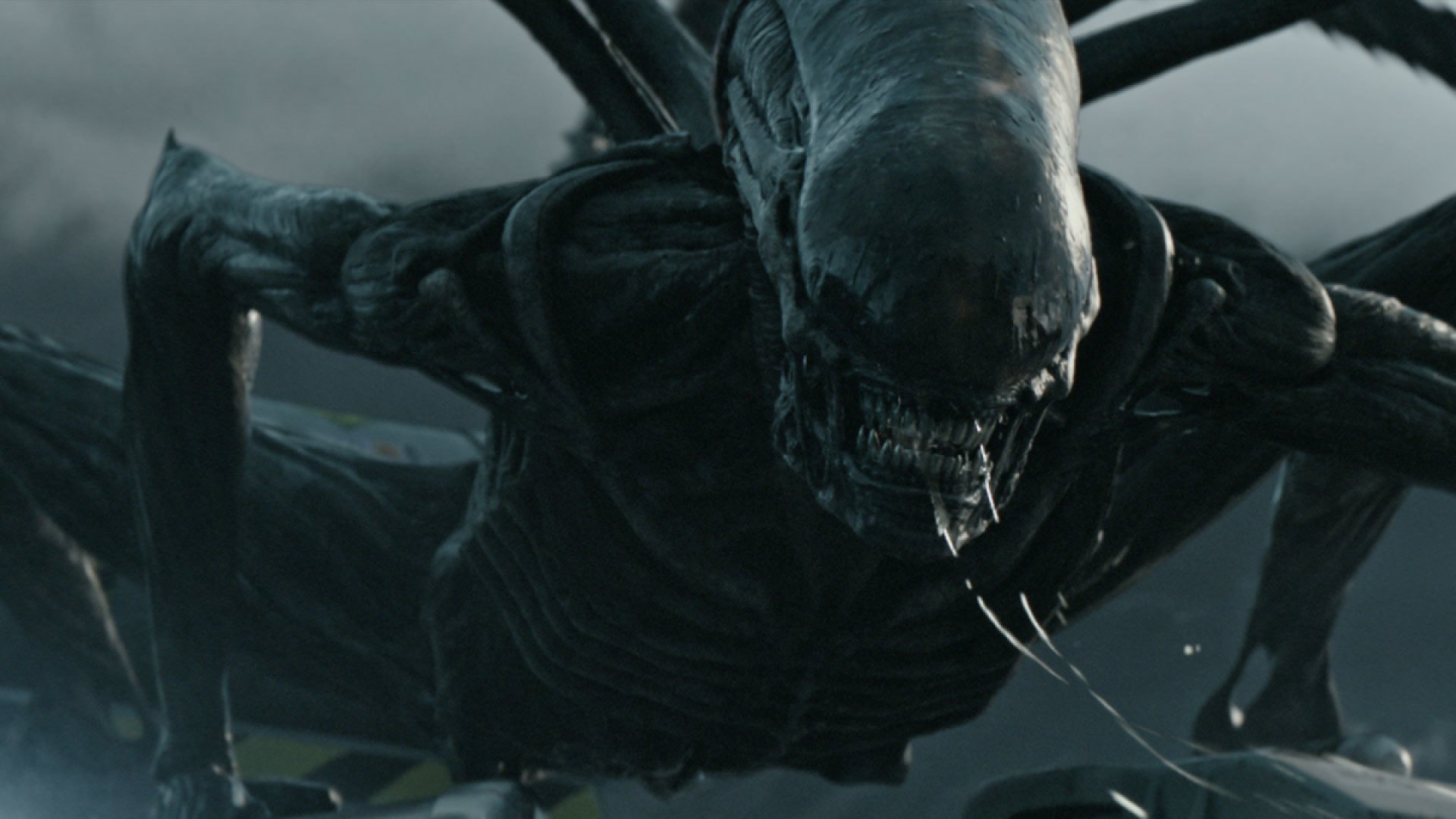 fede-alvarez-finishes-filming-new-alien-movie-1-800x450.jpg