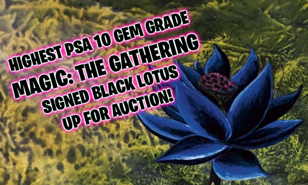 Extremely rare autographed Magic: The Gathering Black Lotus up for auction