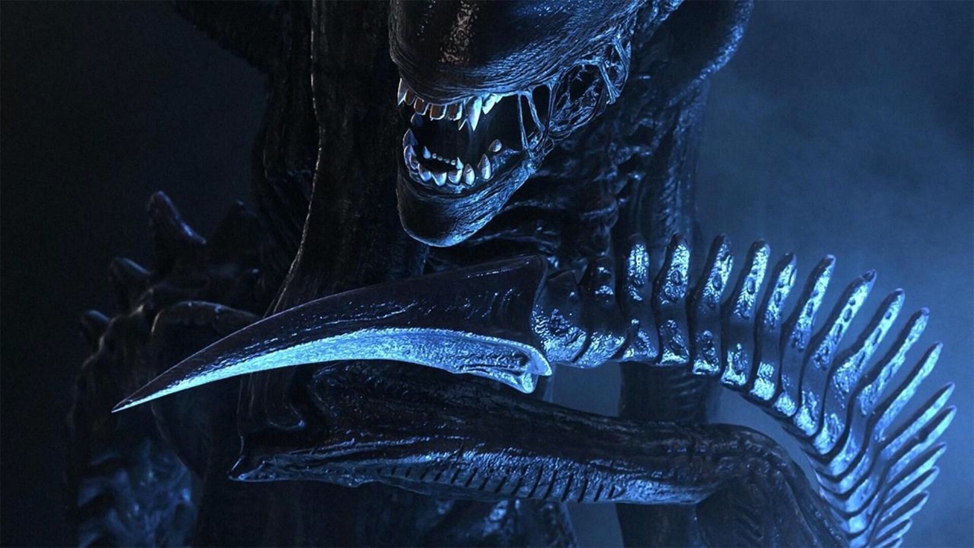 fede-alvarez-finishes-filming-new-alien-movie-2-800x450.jpeg