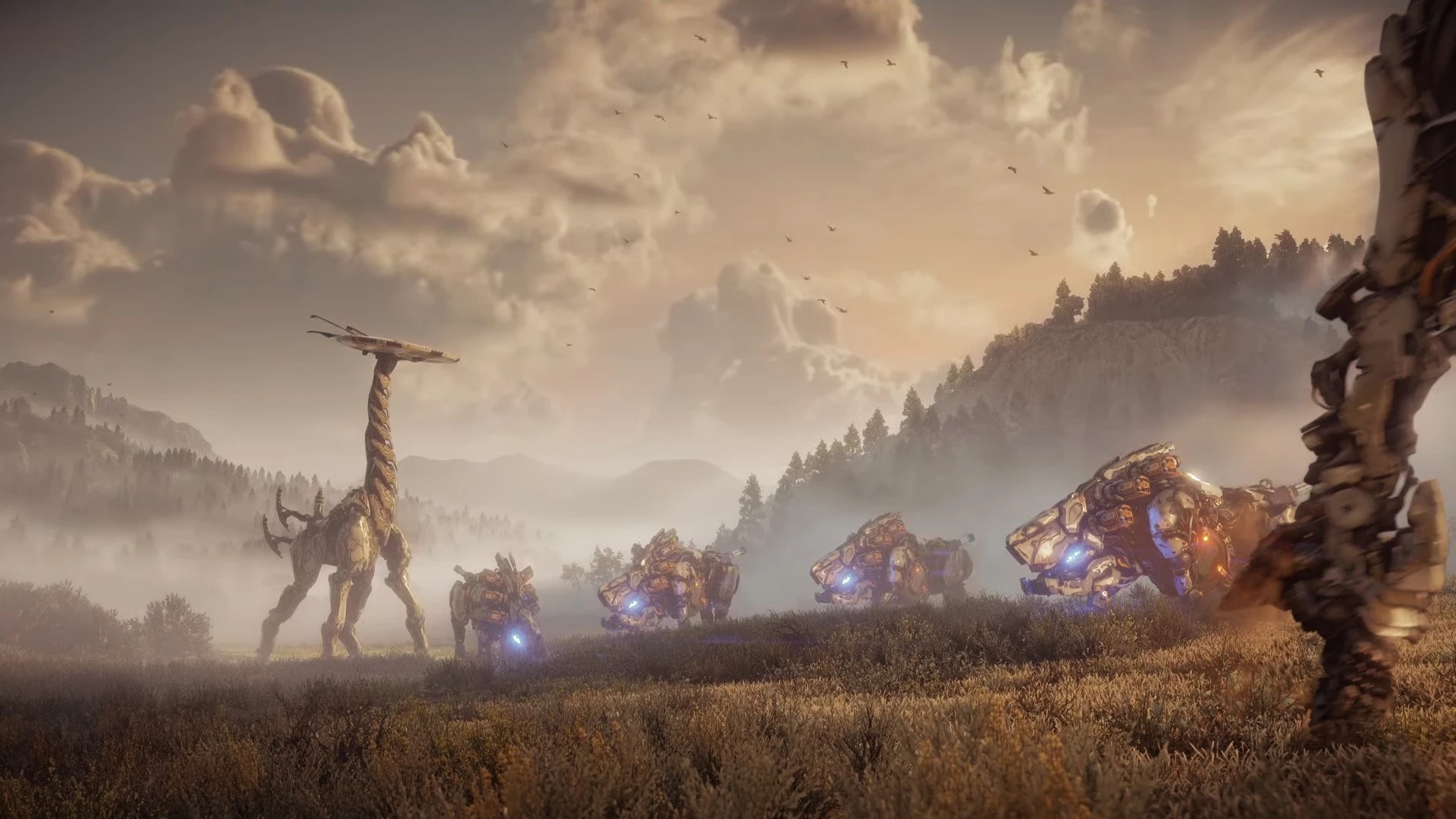 Insiders Tease Horizon Forbidden West Dlc