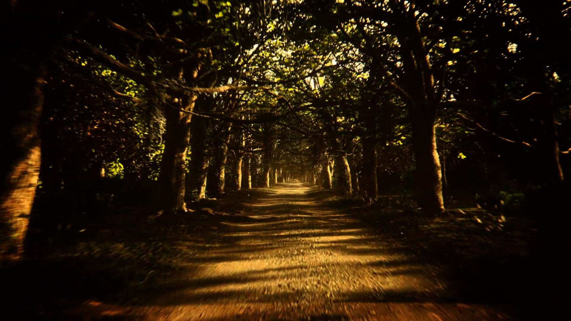 Capcom Drops Next-gen Resident Evil Games Update Out Of Nowhere