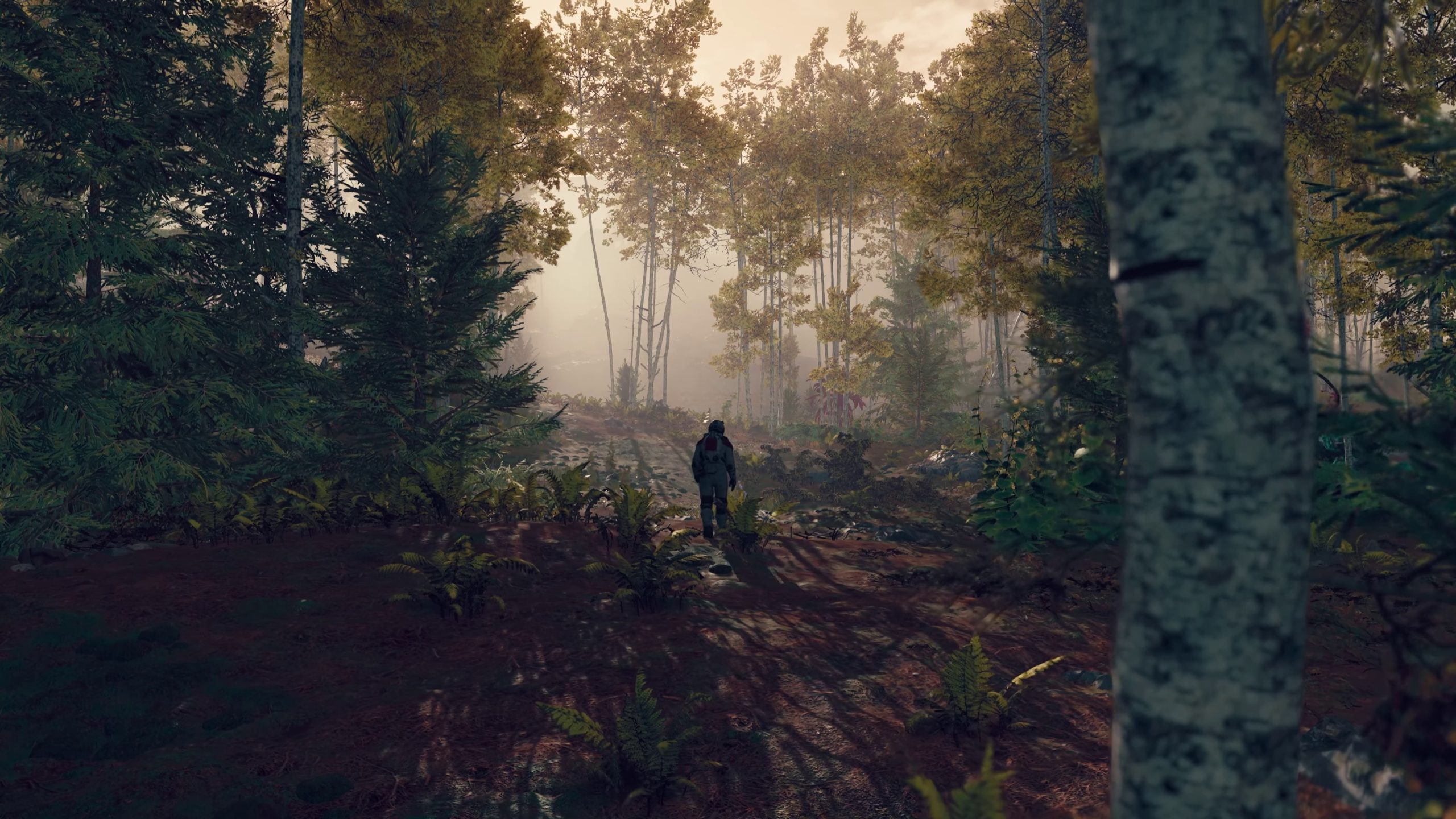 Todd Howard calls Reddit the "smartest fans" in Thank You post ahead of Starfield launch