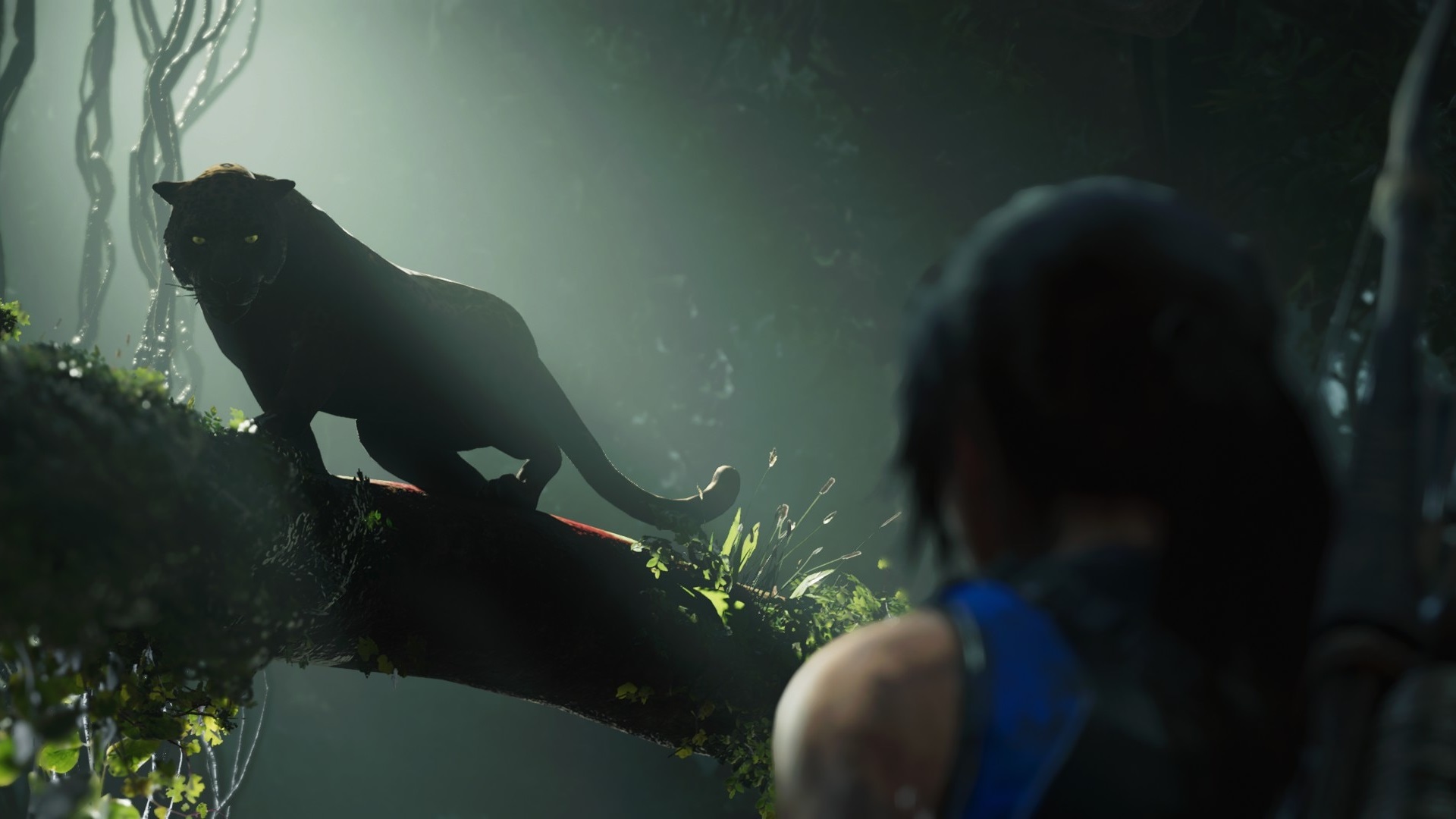 Is Crystal Dynamics going to reveal its next Tomb Raider game soon?