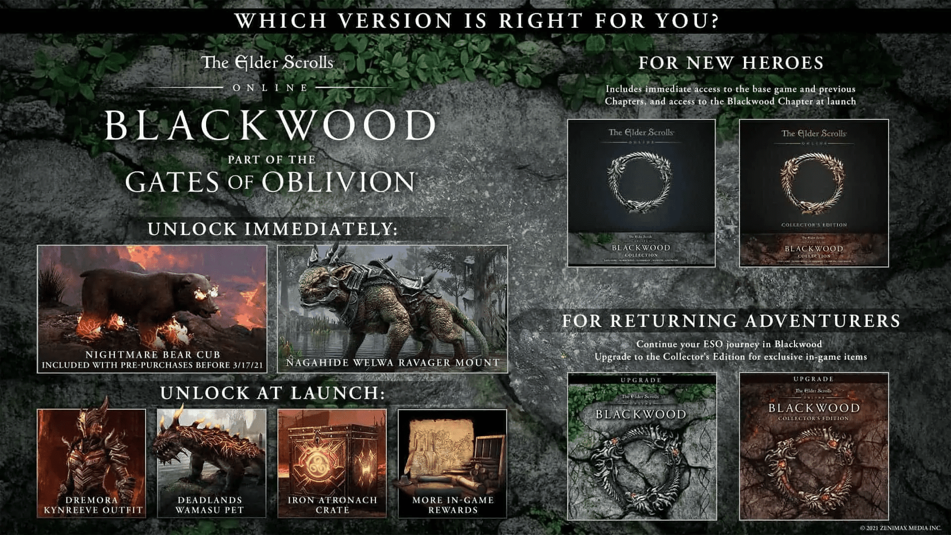 The Elder Scrolls Online: Blackwood Announced