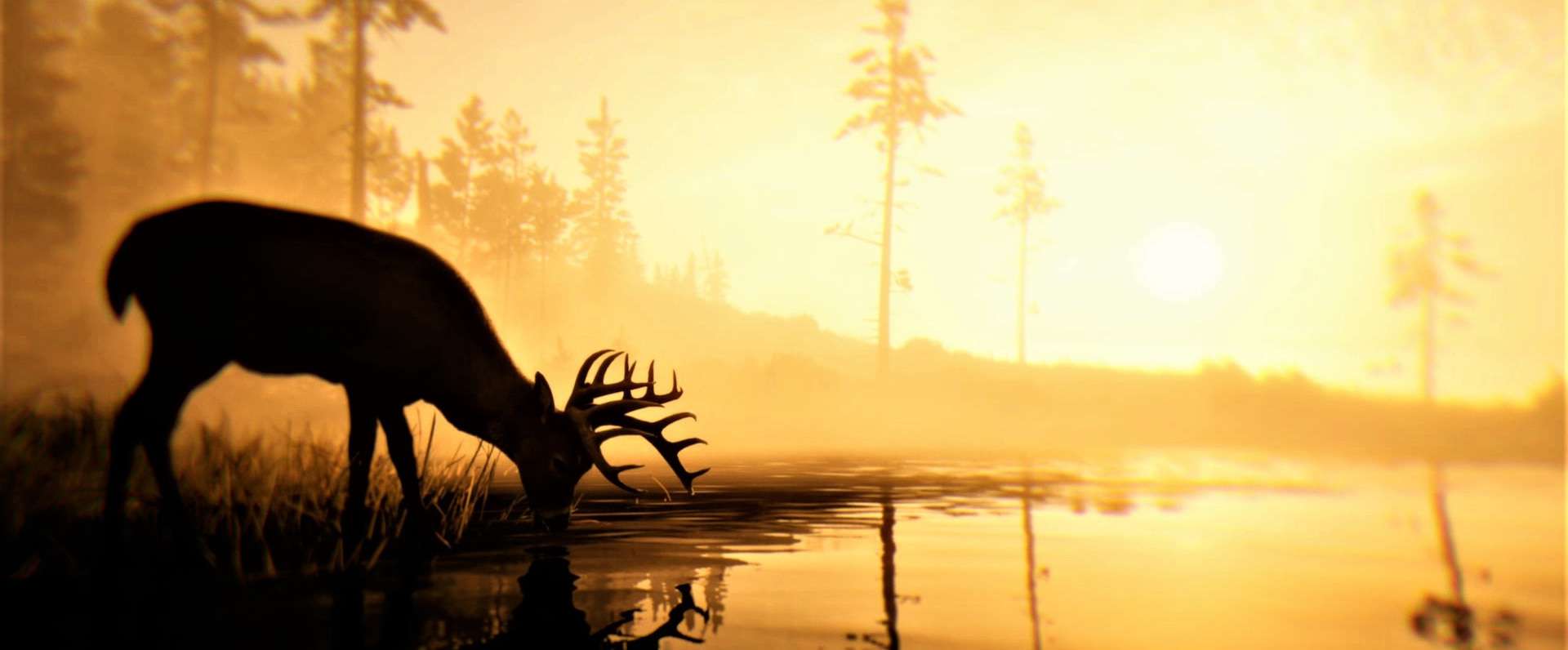 Grand Theft Auto 6 Might Be Using Updated Red Dead Redemption 2 Engine