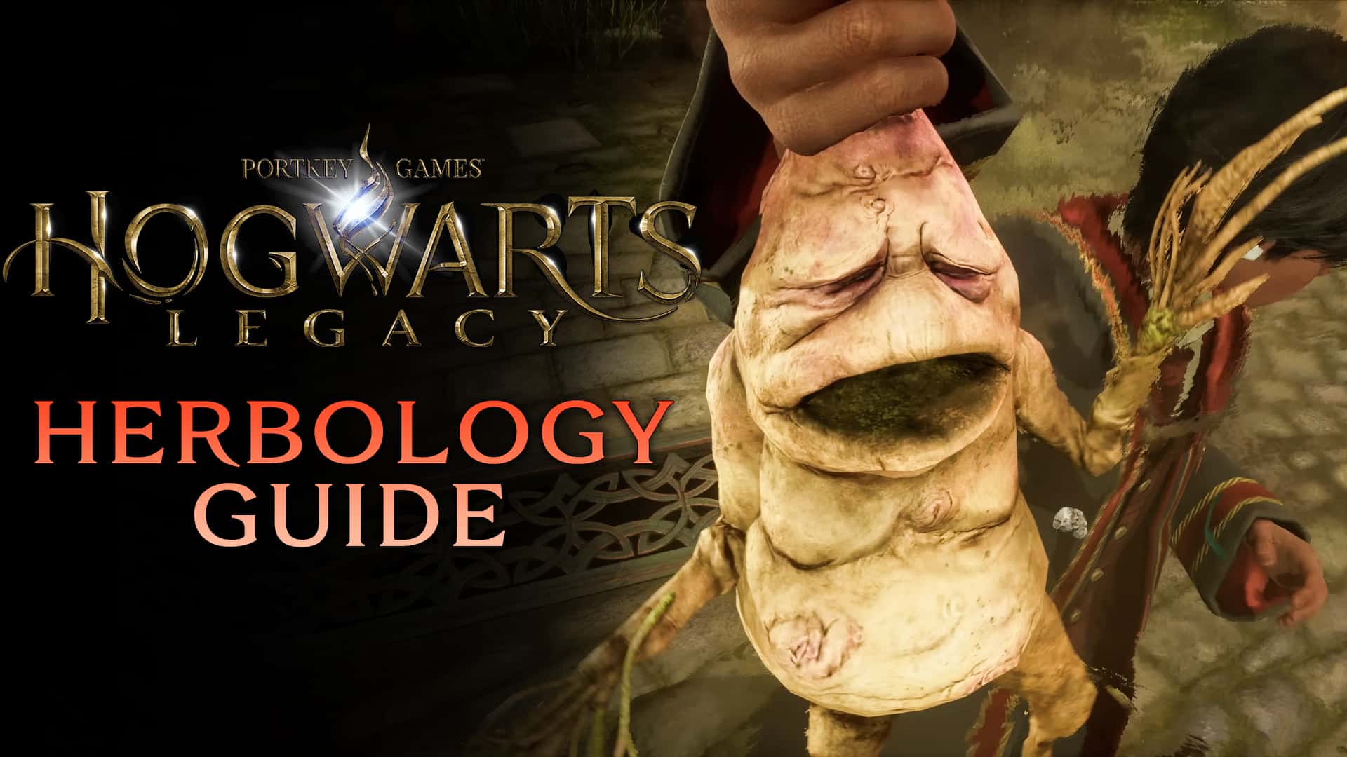 Hogwarts Legacy - Herbology guide (ingredients, plants, utilities, & more)