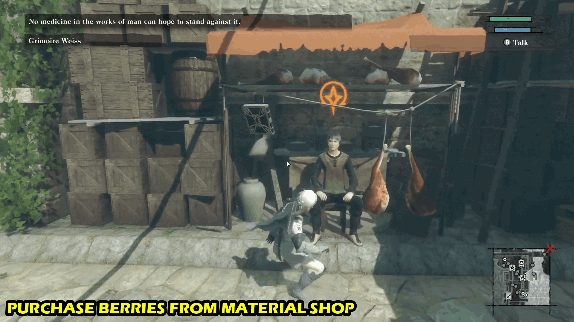The Tavern Keeper's Grandmother: How To Find Berries And Royal Fern In Nier Replicant Ver1.22