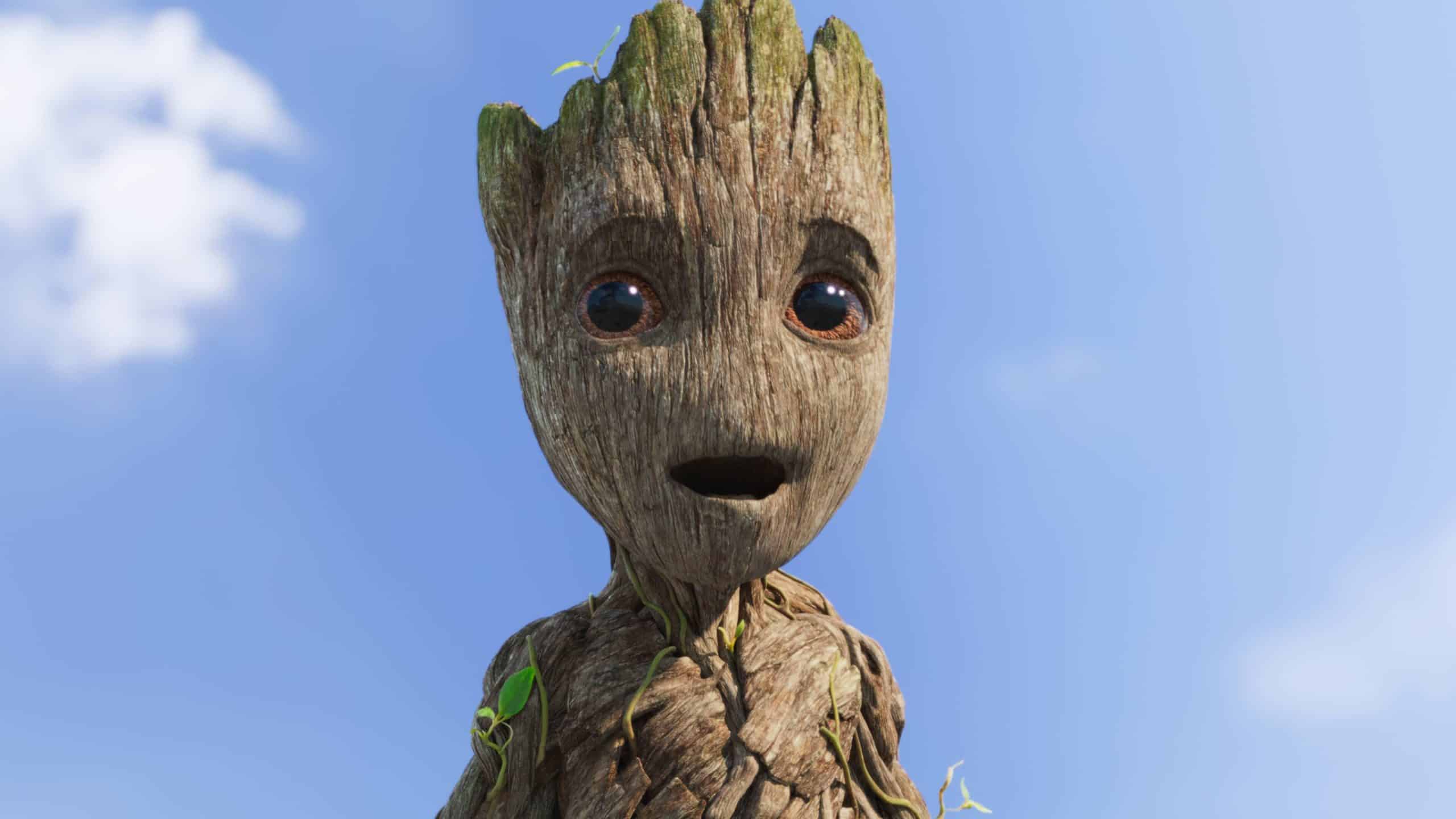 groot-cover-scaled.jpg