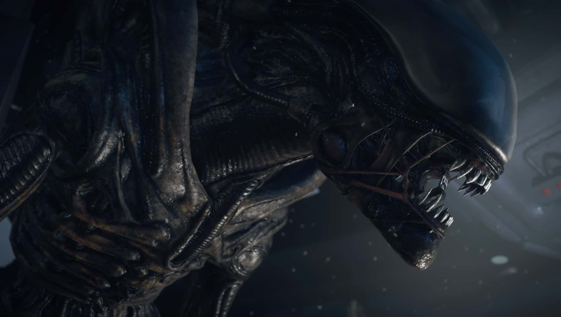 VR specialist studio working on single-player Aliens game